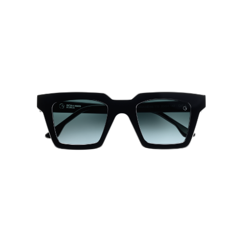 Aronne nero (disponibile in 10 giorni)