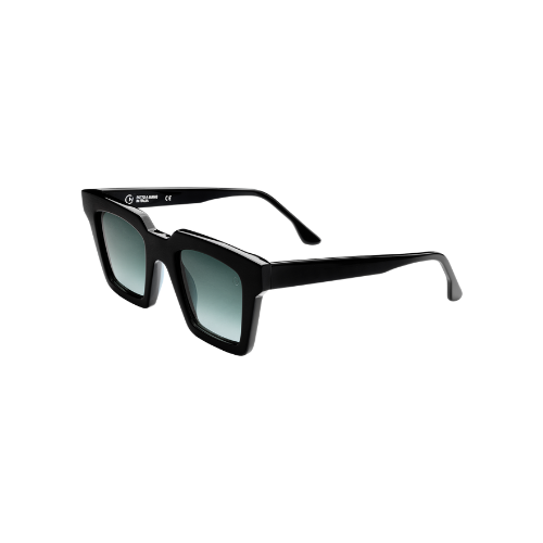 Aronne nero (disponibile in 10 giorni)