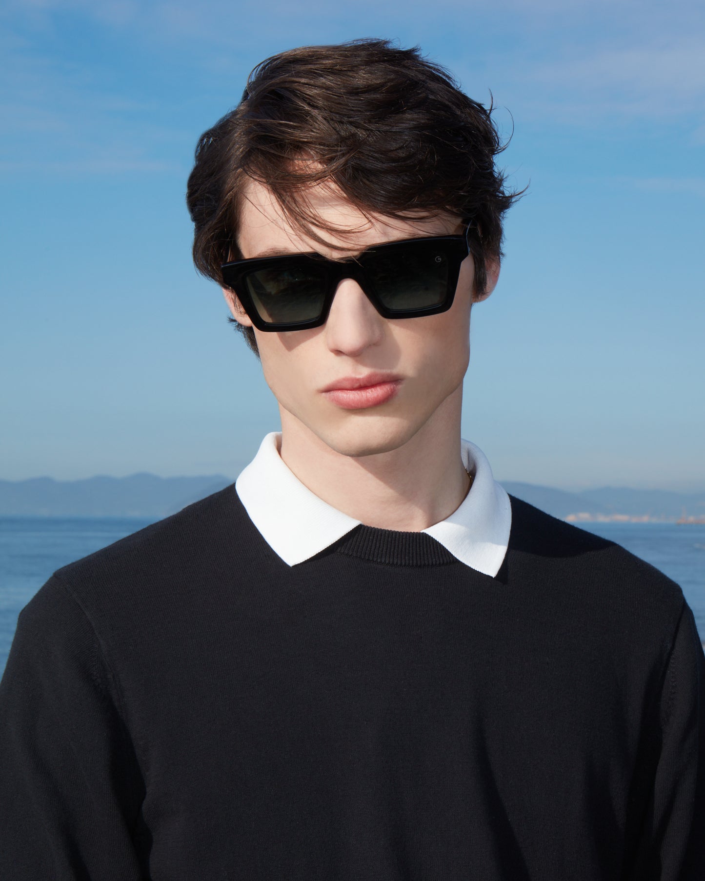 Aronne nero (disponibile in 10 giorni)