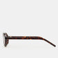 Seberg Dark Havana