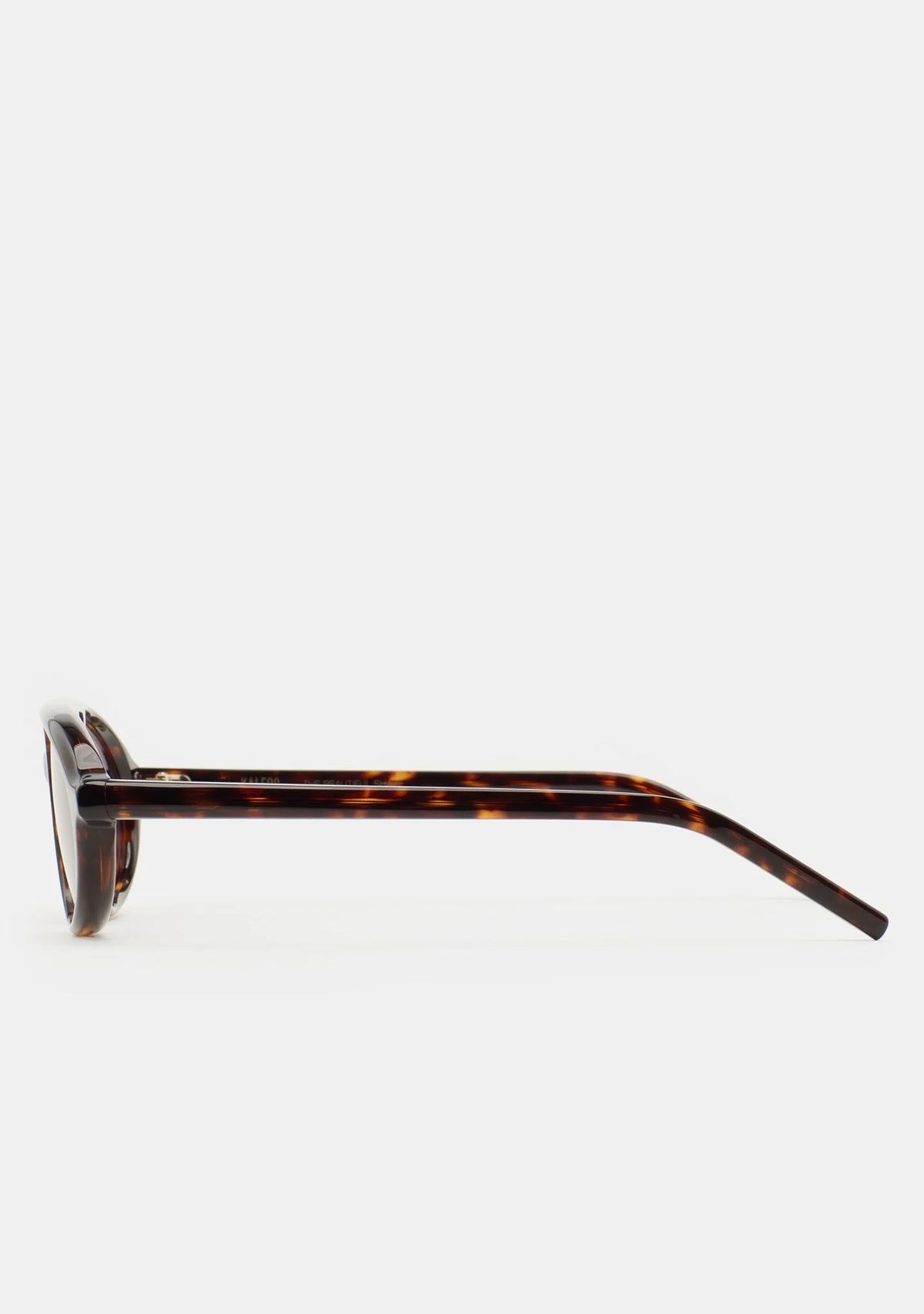 Seberg Dark Havana